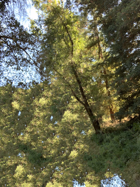 Third Timeline Background Image